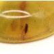 Honey Color Polished Natural Baltic Amber Cabochon  Piece With Insect Inclusion ~ 1.5g