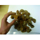Raw Baltic Amber 3-10 g (100 - 1000g)