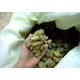 Raw Baltic Amber 3-10 g (100 - 1000g)