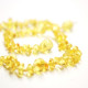 10 Polished Nuts Style Lemon Amber Baby Teething Necklaces