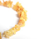 Baltic Amber Tick & Flea Preventive Collar  For Dogs