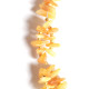 Baltic Amber Tick & Flea Preventive Collar  For Dogs