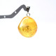Baltic Amber Pendant  Lemon Color With Plants Inclusions 46