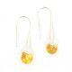 Baltic Amber Earrings Honey Color 10