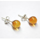 Honey Baltic Amber 925 Sterling Silver Stud Earrings