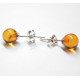 Honey Baltic Amber 925 Sterling Silver Stud Earrings