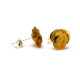 Baltic Amber Greenish Color 925 Sterling Silver Stud Earrings "ROSE"