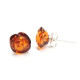Baltic Amber Cognac Color 925 Sterling Silver Stud Earrings "ROSE"