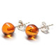Cognac Color Baltic Amber Stud Earrings Sterling Silver 925