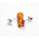 Cognac Color Baltic Amber Stud Earrings Sterling Silver 925
