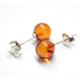 Cognac Color Baltic Amber Stud Earrings Sterling Silver 925