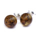 Green Baltic Amber Stud Earrings Sterling Silver