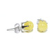 Royal / Milky Baltic Amber Stud Earrings 