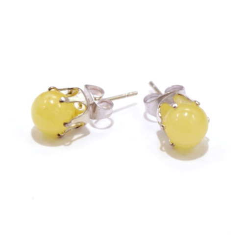 Royal / Milky Baltic Amber Stud Earrings 