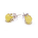 Royal / Milky Baltic Amber Stud Earrings 