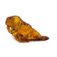 Baltic Amber Figure Of Sea Lion