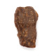 Exclusive Greenish Baltic Amber Piece (11.9 g).