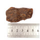 Exclusive Greenish Baltic Amber Piece (11.9 g).
