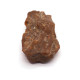 Exclusive Greenish Baltic Amber Piece (11.9 g).