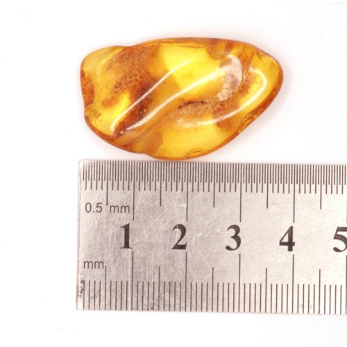 Polished Honey Baltic Amber Stone (4 g)