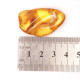 Polished Honey Baltic Amber Stone (4 g)