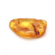 Polished Honey Baltic Amber Stone (4 g)