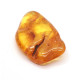 Polished Honey Baltic Amber Stone (4 g)