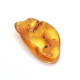 Polished Honey Baltic Amber Stone (4 g)