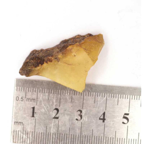 Raw Royal "Egg Yolk" Baltic Amber Specimen (Royal Butterscotch, 5.8 g)
