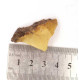 Raw Royal "Egg Yolk" Baltic Amber Specimen (Royal Butterscotch, 5.8 g)