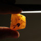 Natural Raw Egg Yolk Baltic Amber Piece (6.4 g)