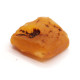 Natural Raw Egg Yolk Baltic Amber Piece (6.4 g)