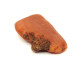 Egg Yolk / Butterscotch Color RAW Natural Baltic Amber Piece 7.4g 