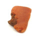 Egg Yolk / Butterscotch Color RAW Natural Baltic Amber Piece 7.4g 