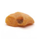 Raw Natural Shape Butterscotch / Egg Yolk Baltic Amber Piece (9.1 g)