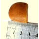 Egg Yolk / Butterscotch Color Raw Rough Natural Baltic Amber piece 6g