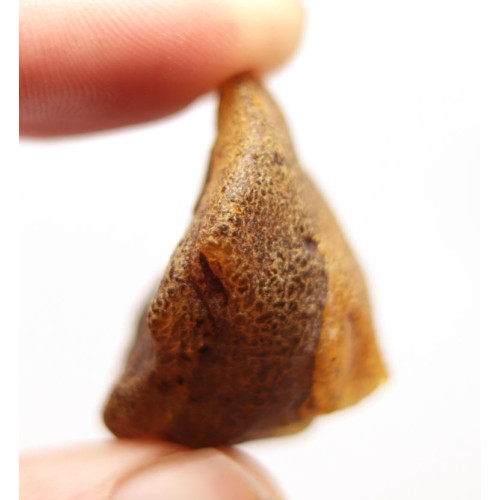 Raw Greenish Baltic Amber Stone (4.1 g)
