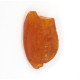 Natural Raw Honey Baltic Amber Piece (9 g)