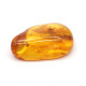 Honey Color Polished Natural Baltic Amber Stone Piece With Insect Inclusion ~ 4.5g