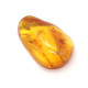 Honey Color Polished Natural Baltic Amber Stone Piece With Insect Inclusion ~ 4.5g