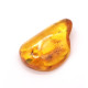 Honey Color Polished Natural Baltic Amber Stone Piece With Insect Inclusion ~ 4.5g