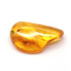 Honey Color Polished Natural Baltic Amber Stone Piece With Insect Inclusion ~ 4.5g