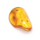 Honey Color Polished Natural Baltic Amber Stone Piece With Insect Inclusion ~ 4.5g