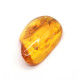 Honey Color Polished Natural Baltic Amber Stone Piece With Insect Inclusion ~ 4.5g