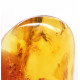 Honey Color Polished Natural Baltic Amber Stone Piece With Insect Inclusion ~ 4.5g