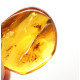 Honey Color Polished Natural Baltic Amber Stone Piece With Insect Inclusion ~ 4.5g