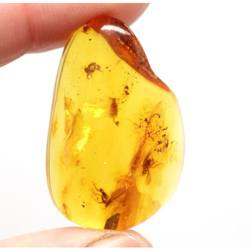 Honey Color Polished Natural Baltic Amber Stone Piece With Insect Inclusion ~ 4.5g