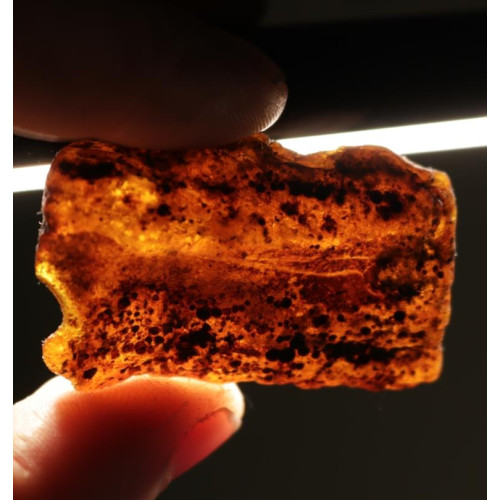 Natural Cognac Baltic Amber Piece (8.6 g)