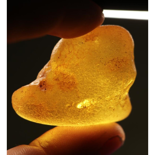 Natural Raw Honey Baltic Amber Piece (10.6 g)