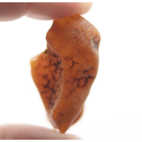 Raw Honey Baltic Amber Stone (5.9 g)